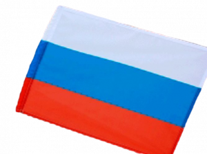Флаг 16х24 на палочке "РФ"