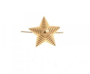Звезда рифленая (золотая) 13 мм  